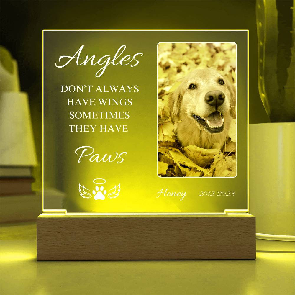 Pet Memorial | Light Up Square Acrylic Plaque