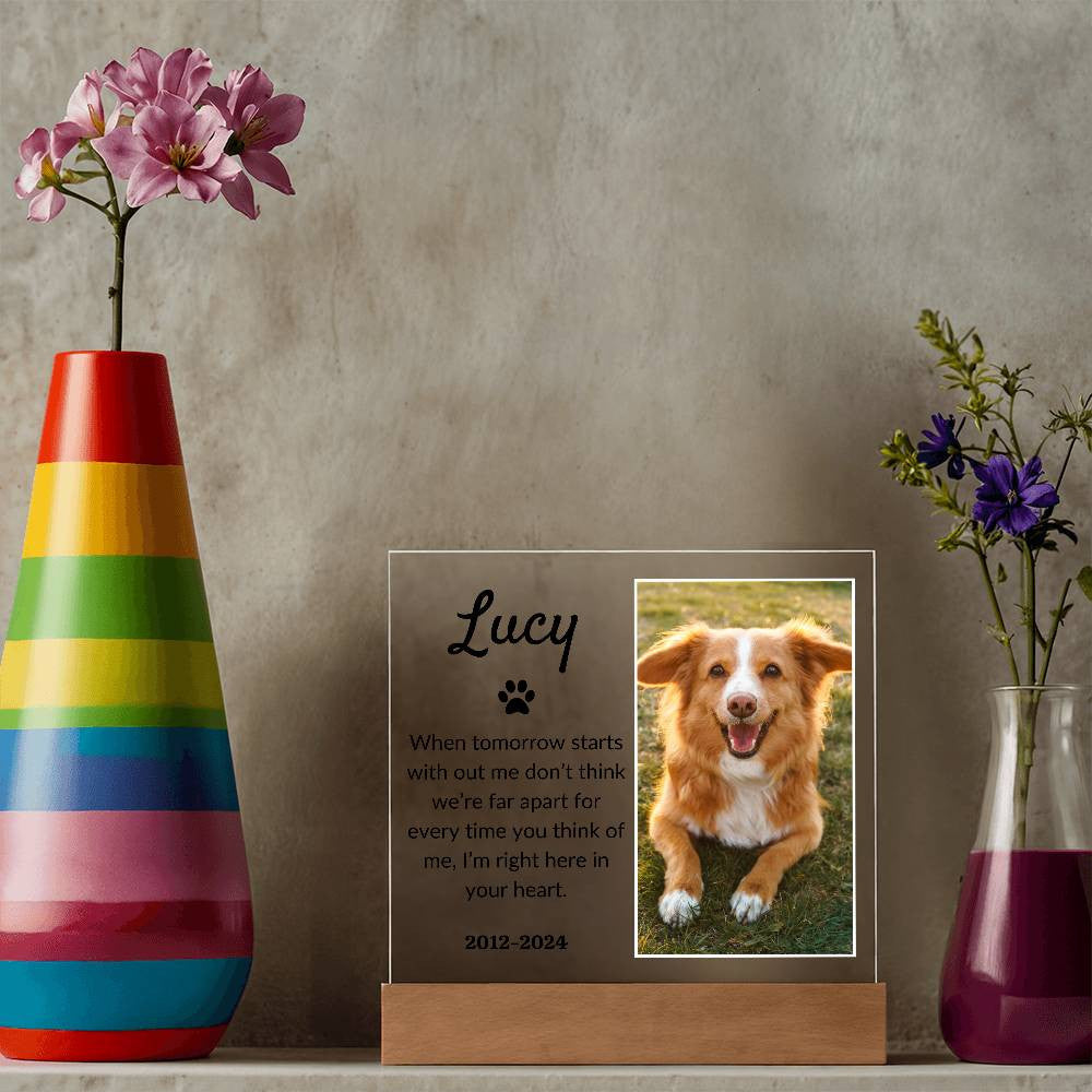 Light Up Pet Memorial Acrylic Plaque | Personalized