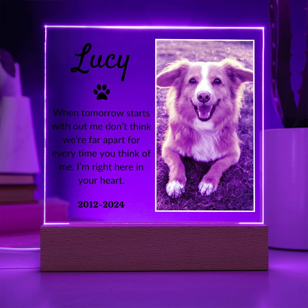 Light Up Pet Memorial Acrylic Plaque | Personalized