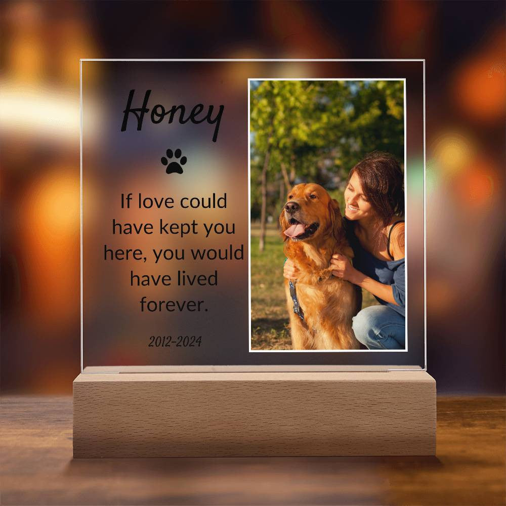 Light Up Pet Memorial Acrylic Plaque |