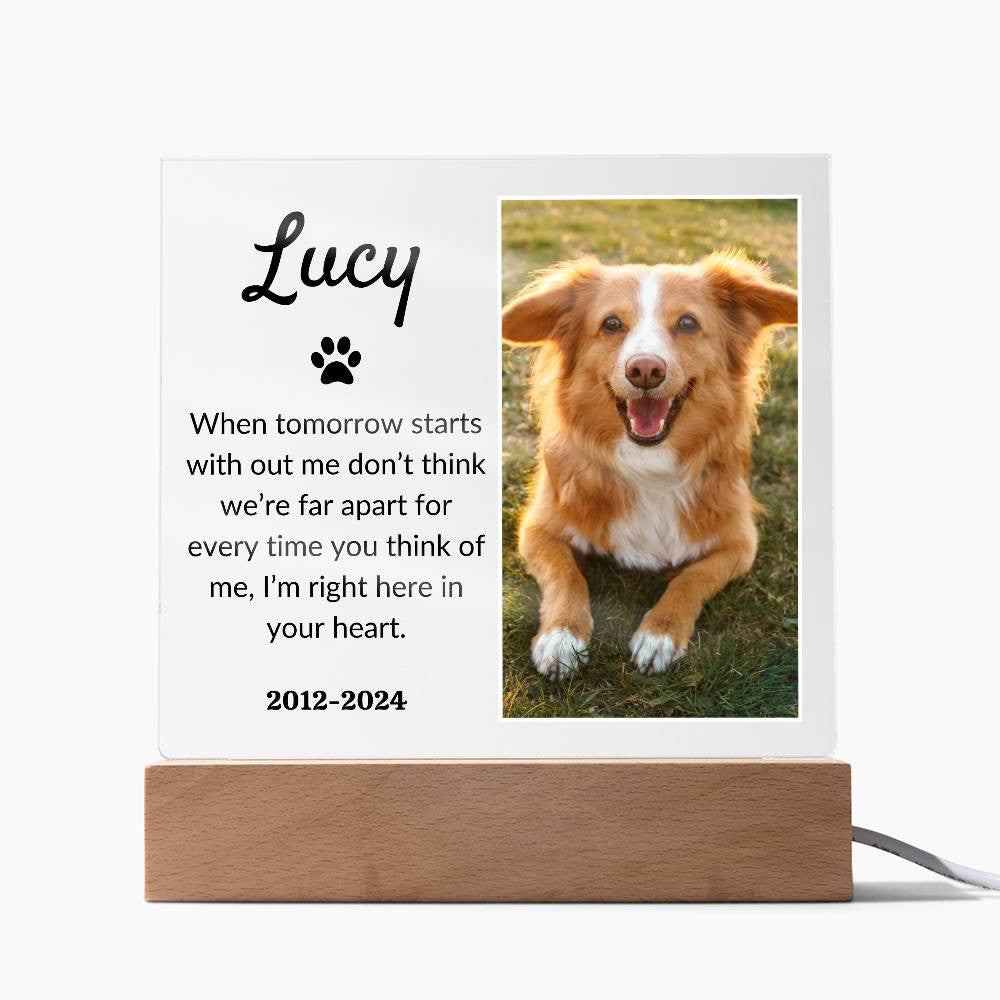 Light Up Pet Memorial Acrylic Plaque | Personalized