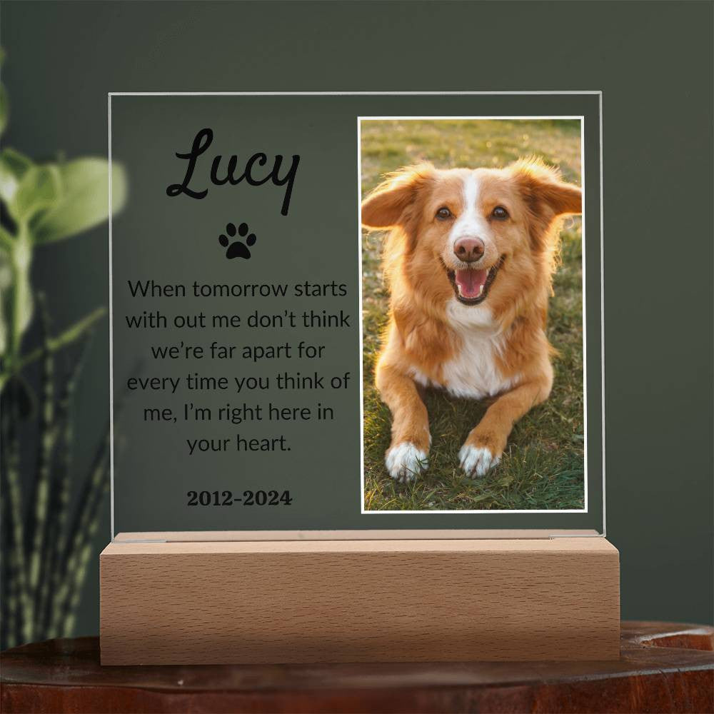 Light Up Pet Memorial Acrylic Plaque | Personalized