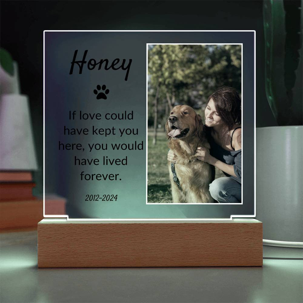 Light Up Pet Memorial Acrylic Plaque |