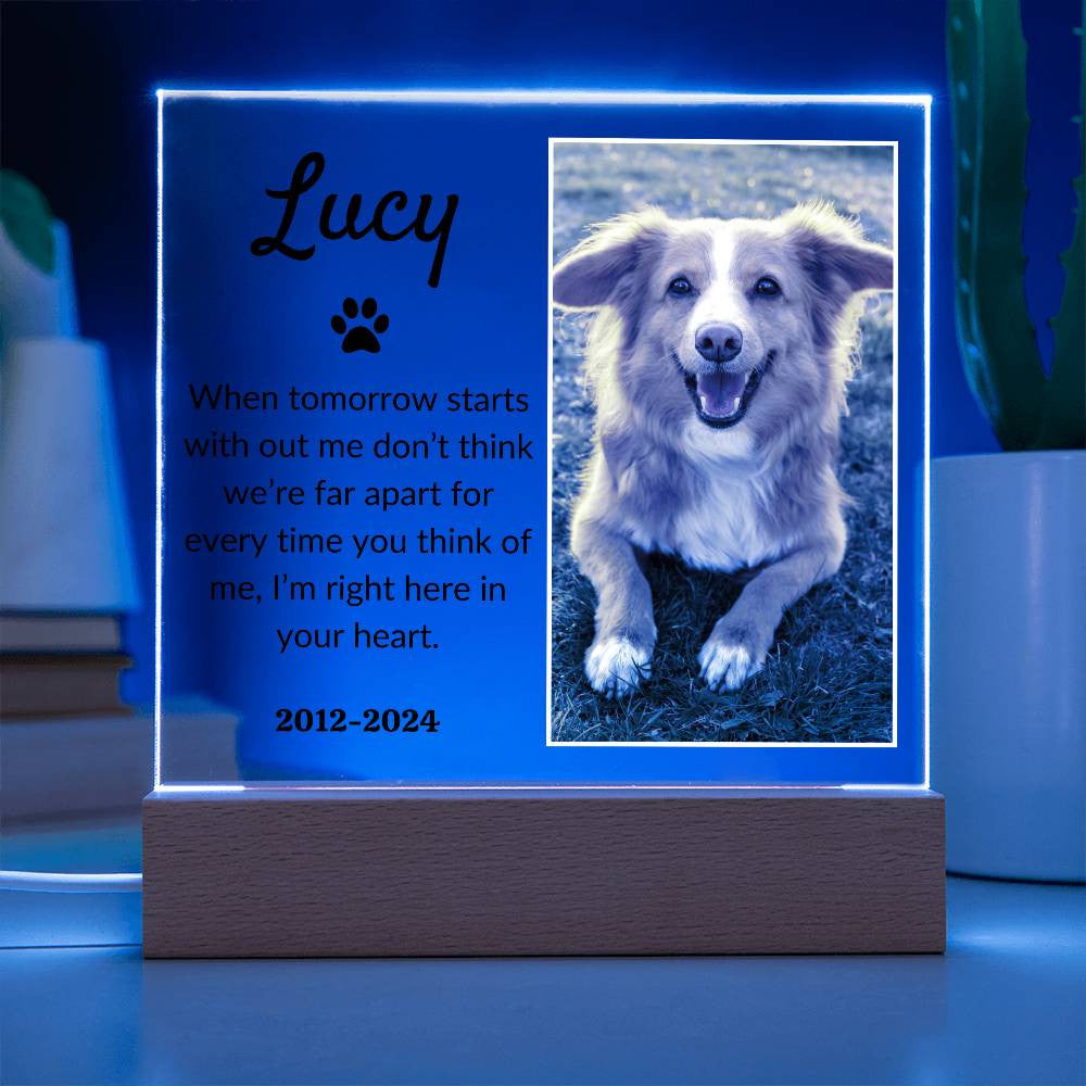 Light Up Pet Memorial Acrylic Plaque | Personalized