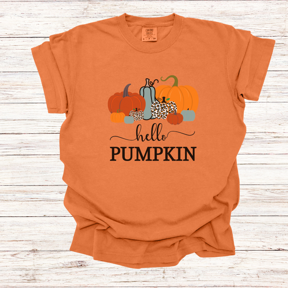 Fall T-shirt | Fall Long Sleeve | Hello Pumpkin