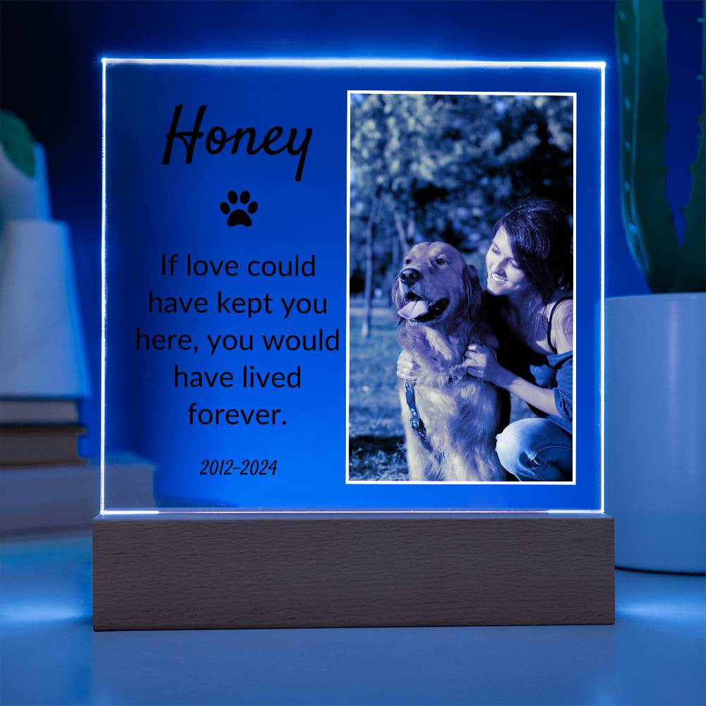 Light Up Pet Memorial Acrylic Plaque |