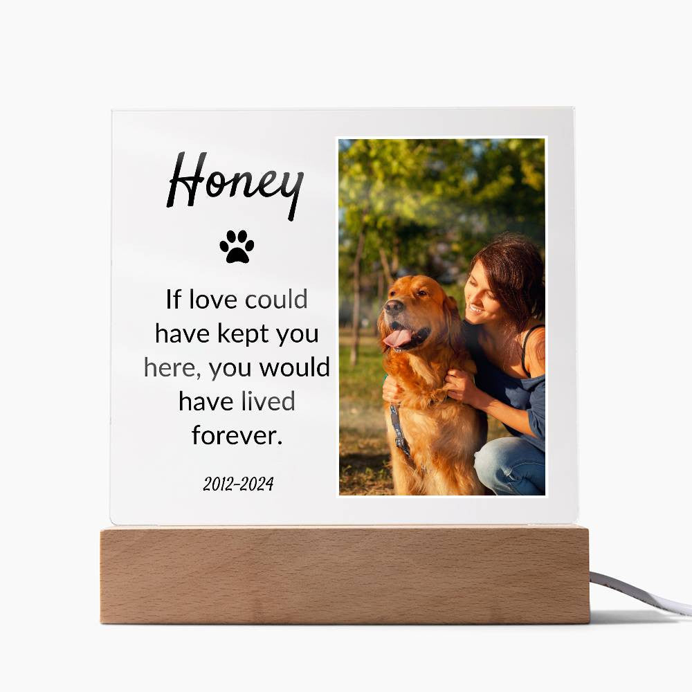 Light Up Pet Memorial Acrylic Plaque |